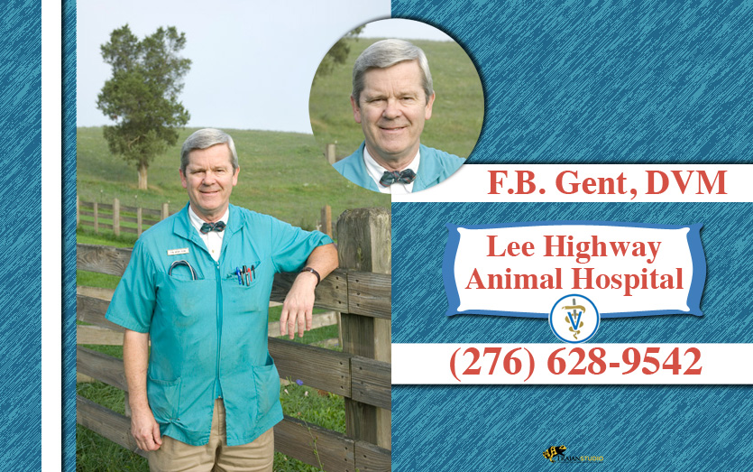 Our staff | Lee Highway Animal Hospital – Abingdon, VA – Small Animal  Medicine and Surgery